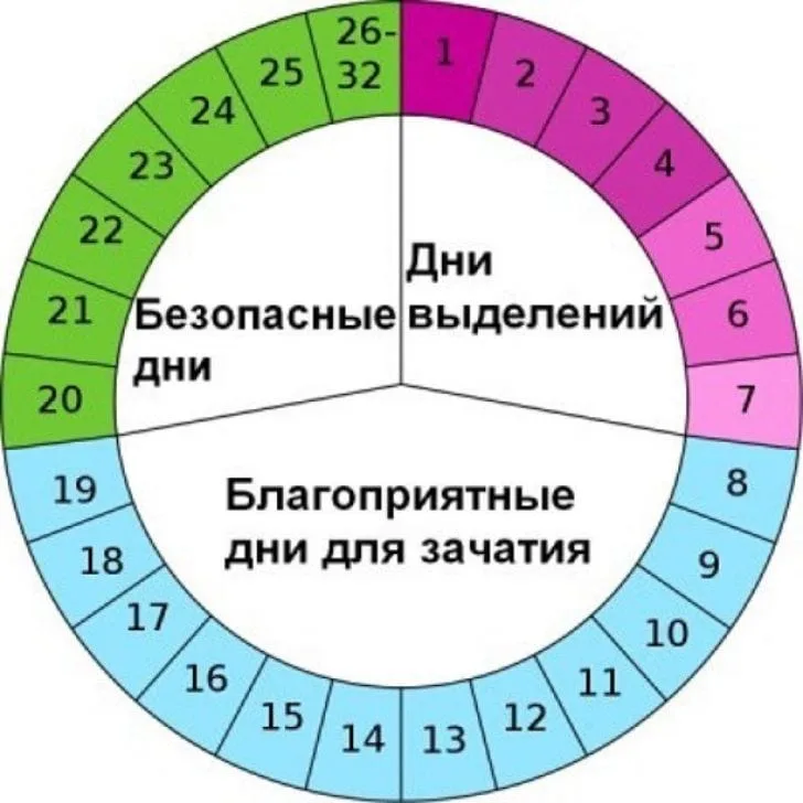 Какие дни менструального цикла благоприятны для зачатия