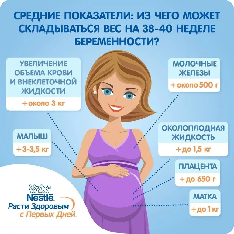 Прибавка в весе при беременности