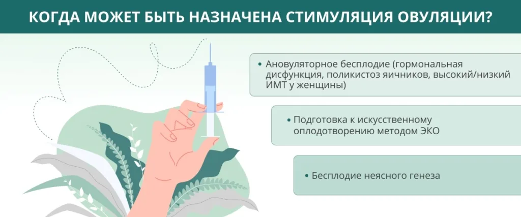 Стимуляция овуляции: современные методы на пути к желанной беременности