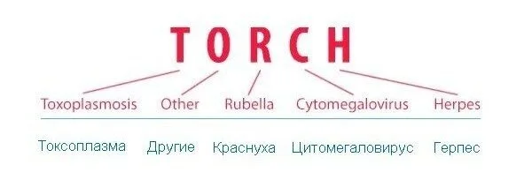 TORCH-инфекции