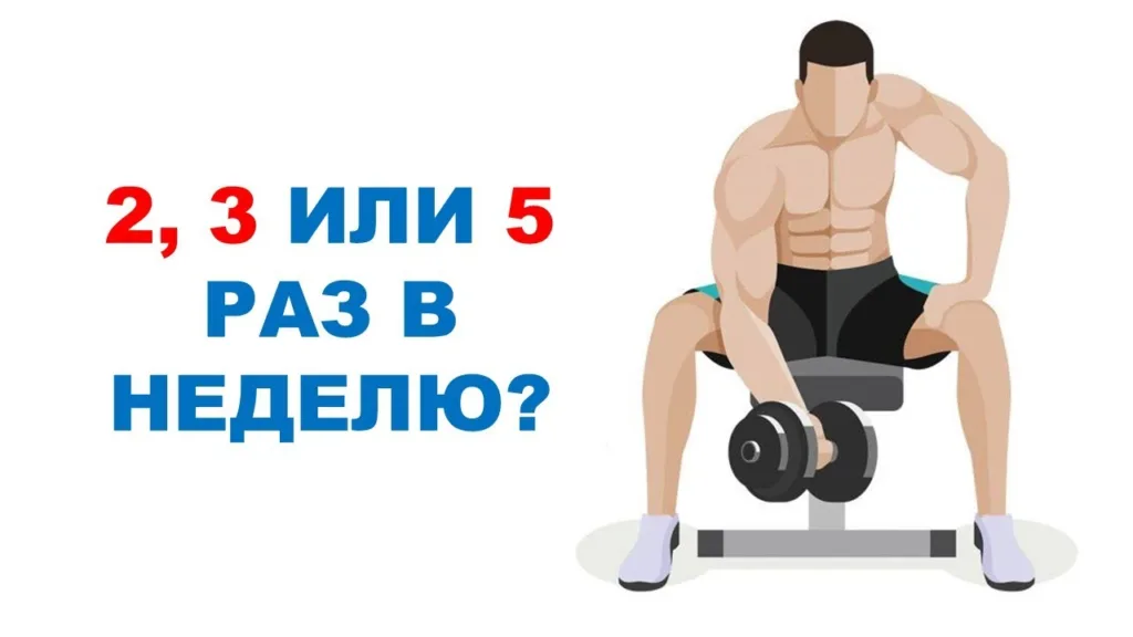 Сколько раз в неделю тренироваться для похудения