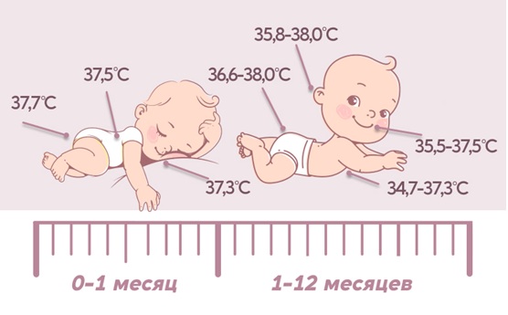 Нормальная температура тела у младенцев зависит от места измерения и возраста