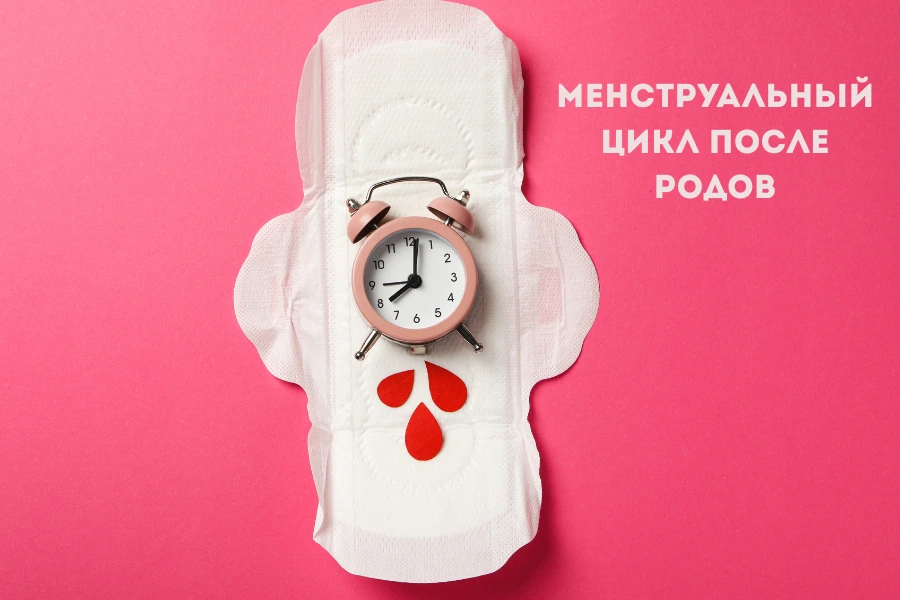 Овуляция до первых месячных после родов