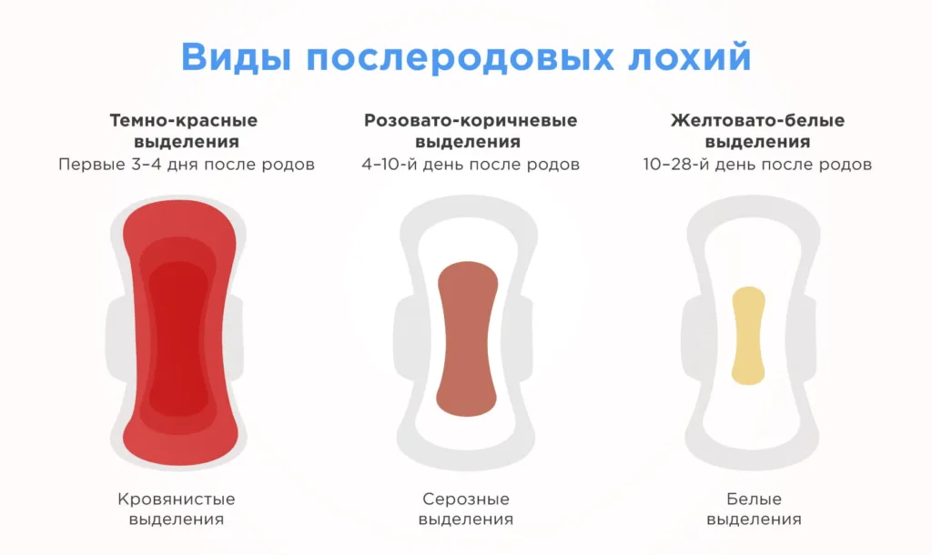 Послеродовые выделения «лохии»