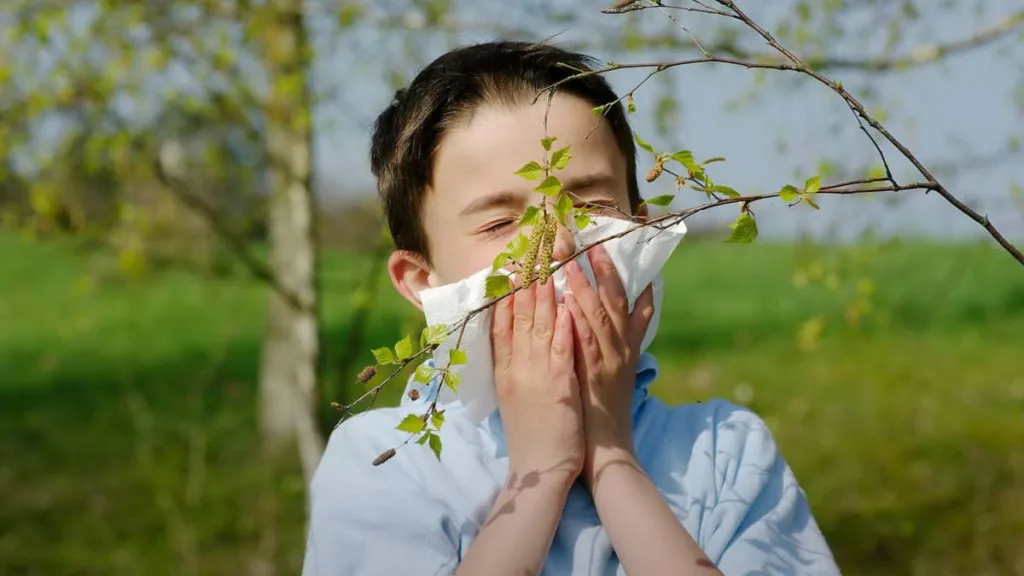 Аллергия на пыльцу у ребёнка 7–12 лет: сезонные симптомы и лечение