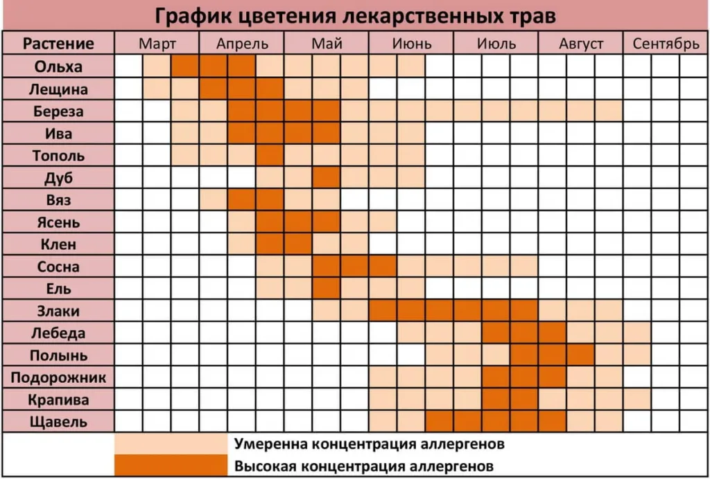 Календарь цветения в России: деревья, злаковые травы, сорняки и амброзия