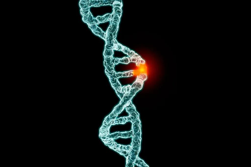 Мутации BRCA1 и BRCA2: как наследственный риск влияет на тактику. Профилактическая сальпингоофорэктомия