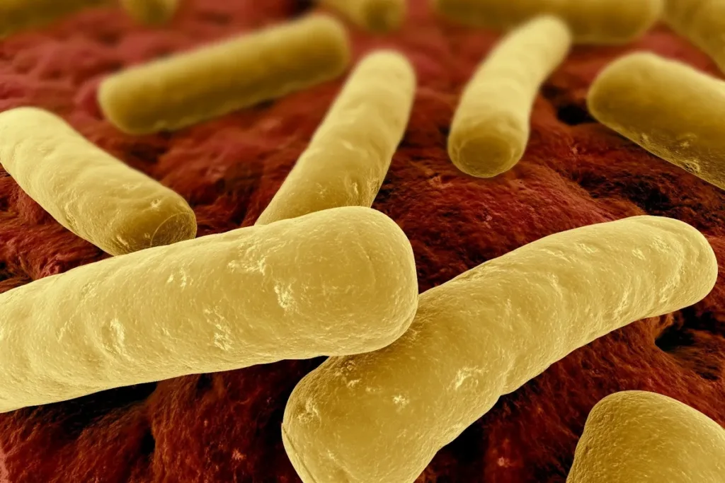 Clostridium difficile: опасная бактерия, которая атакует после антибиотиков