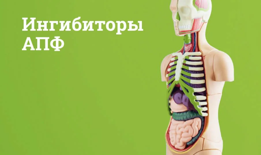 Ингибиторы АПФ (эналаприл, лизиноприл, периндоприл): как работают и кому подходят