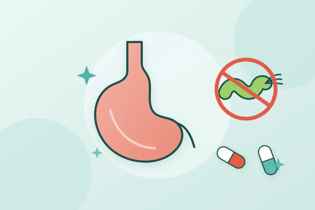 Эрадикация Helicobacter pylori: как устроена схема из антибиотиков и ИПП