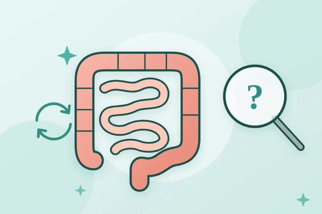 Лечение синдрома раздражённого кишечника: почему подход зависит от типа